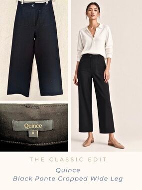 Quince Black Cropped Wide-Leg Ponte Pants